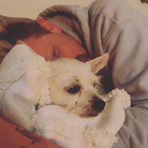 Trevor Duke-Moretz Instagram - Both of my valentines in one pic, love my boys ❤️ ❤️ ❤️ @frangerdanger #Jaxon #happyvalentinesday