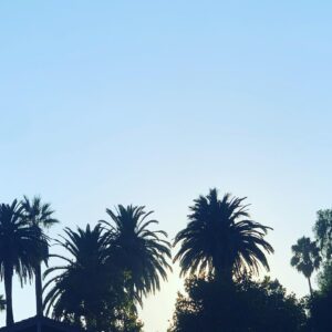 Trevor Duke-Moretz Instagram - 🌴 🌴 🌴