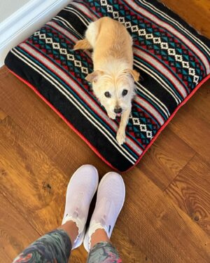 Trinity Bliss Instagram - Love walking everywhere in these @skechers. It reminds me of all the incredible work @skechersp2pwalk are doing to raise funds for children with special needs, public education, and the national college scholarship program!  #skechersp2pwalk2023 is coming this Sunday on 29th! #walktomakeadifference #walkforeducation #walkforfriendship