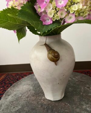 Tsurutaro Kataoka Instagram - ♦️紫陽花にカタツムリ🐌♦️
梅雨時季☂️そんな時でも雨を愛でながら紫陽花にカタツムリ🐌

#片岡鶴太郎#俳優#画家#ヨーギー#ヨガ#つるちゃん#オシャレ#古着#太田プロ#芸人#ぴよこちゃん#おでん芸#ものまね#ボクシング#ちょっちゅね#pm11時起き#カタツムリ