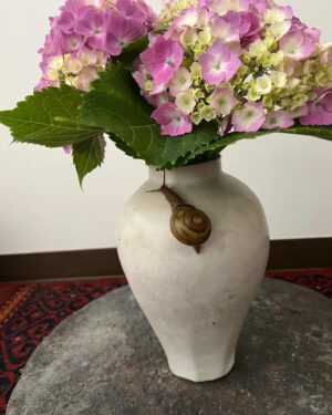 Tsurutaro Kataoka Instagram - ♦️紫陽花にカタツムリ🐌♦️
梅雨時季☂️そんな時でも雨を愛でながら紫陽花にカタツムリ🐌

#片岡鶴太郎#俳優#画家#ヨーギー#ヨガ#つるちゃん#オシャレ#古着#太田プロ#芸人#ぴよこちゃん#おでん芸#ものまね#ボクシング#ちょっちゅね#pm11時起き#カタツムリ