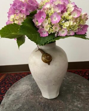 Tsurutaro Kataoka Instagram - ♦️紫陽花にカタツムリ🐌♦️
梅雨時季☂️そんな時でも雨を愛でながら紫陽花にカタツムリ🐌

#片岡鶴太郎#俳優#画家#ヨーギー#ヨガ#つるちゃん#オシャレ#古着#太田プロ#芸人#ぴよこちゃん#おでん芸#ものまね#ボクシング#ちょっちゅね#pm11時起き#カタツムリ