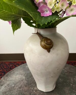 Tsurutaro Kataoka Instagram - ♦️紫陽花にカタツムリ🐌♦️
梅雨時季☂️そんな時でも雨を愛でながら紫陽花にカタツムリ🐌

#片岡鶴太郎#俳優#画家#ヨーギー#ヨガ#つるちゃん#オシャレ#古着#太田プロ#芸人#ぴよこちゃん#おでん芸#ものまね#ボクシング#ちょっちゅね#pm11時起き#カタツムリ