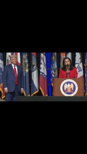Tulsi Gabbard Instagram - I was a Democrat for over 20 years. Today, I endorsed Donald Trump for President.  WATCH to hear why: