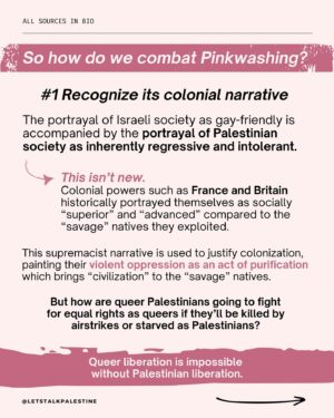 Tyler Oakley Instagram - This Pride month, you may have heard people raving about Tel Aviv’s “Pride Parade” or how you shouldn’t criticize Israel because they’re “progressive” on LGBTQ  issues.

Send this to someone you know who still thinks this way

Thank you to @tyleroakley @nooraldayeh @officialjakegyllenhalal @kimsaira for collaborating with us on this and amplifying it to educate more people ✨🇵🇸🏳️‍🌈

CORRECTION: As of December 2023, Israeli gay couples have equal rights to adopt. We apologize for the outdated information on Slide 8.

#palestine #freepalestine #gaza #savegaza #israel #telaviv #telavivpride #pride #pridemonth #gay #queer #activism #news #politics #history #genderfluid #lgbt #lgbtq