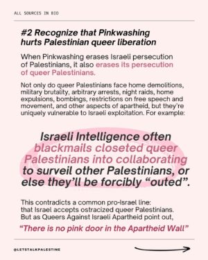Tyler Oakley Instagram - This Pride month, you may have heard people raving about Tel Aviv’s “Pride Parade” or how you shouldn’t criticize Israel because they’re “progressive” on LGBTQ  issues.

Send this to someone you know who still thinks this way

Thank you to @tyleroakley @nooraldayeh @officialjakegyllenhalal @kimsaira for collaborating with us on this and amplifying it to educate more people ✨🇵🇸🏳️‍🌈

CORRECTION: As of December 2023, Israeli gay couples have equal rights to adopt. We apologize for the outdated information on Slide 8.

#palestine #freepalestine #gaza #savegaza #israel #telaviv #telavivpride #pride #pridemonth #gay #queer #activism #news #politics #history #genderfluid #lgbt #lgbtq