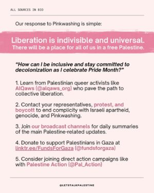 Tyler Oakley Instagram - This Pride month, you may have heard people raving about Tel Aviv’s “Pride Parade” or how you shouldn’t criticize Israel because they’re “progressive” on LGBTQ  issues.

Send this to someone you know who still thinks this way

Thank you to @tyleroakley @nooraldayeh @officialjakegyllenhalal @kimsaira for collaborating with us on this and amplifying it to educate more people ✨🇵🇸🏳️‍🌈

CORRECTION: As of December 2023, Israeli gay couples have equal rights to adopt. We apologize for the outdated information on Slide 8.

#palestine #freepalestine #gaza #savegaza #israel #telaviv #telavivpride #pride #pridemonth #gay #queer #activism #news #politics #history #genderfluid #lgbt #lgbtq