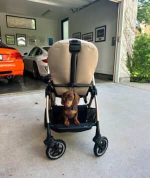 Valentine Thomas Instagram - 1. Red wine once in a while never hurt anyone 
2. Poppin 
3. Mom & sis patiently waiting for baby girl 👧 
4. Hubby swimming with whale in Lake Austin
5. I’m always reading a cookbook. 
6. Serious chat 
7. Yeah yeah last one 
8. The sausage always wins 
9. Austin fam ❤️
10. Got a stroller for Teddy (the baby can walk)