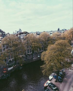 Vijay Varma Instagram - 🇳🇱