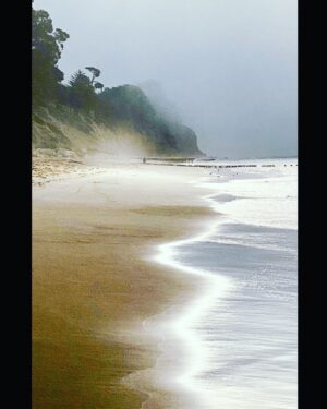 Wally Pfister Instagram - 
