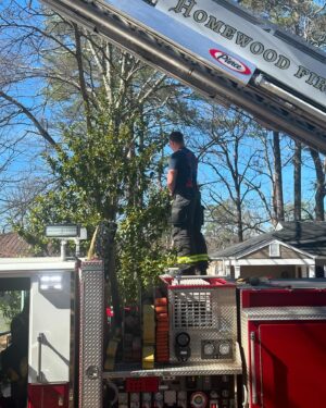 Walt Harris Instagram - The guys… My guys! 🚒🧯🧑🏾‍🚒👨‍🚒 #FirefighterLife #LifeOfService #HWDF