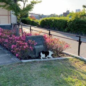 Weerapat Toemmaneerat Instagram - 最後のキスはタバコの flavor がした
ニガくてせつない香り .