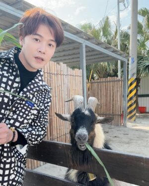 Wen-Sing Huang Instagram - 上週「廢物媽媽育兒農場」 @love_alpaca0316 一日遊。
出門玩當然要打扮一下啦😎今天穿的父子裝，是在路上不會撞衫獨一無二的財財手作服飾，從布料挑選到設計都可以依照個人喜好去訂製，而且面料舒服做工細緻，結合日系風格造型，獨特帥氣，親子裝是他們的暢銷款👍如果想逛逛，可以直接到新竹廢物媽媽育兒農場裡面選購！
採預約制的農場很特別，每個小動物都有他們自己的名字，農場內不會有異味，反而是太陽光線充足動線規劃也很好，能感受得到牠們是有被用心照顧的寵物👍面對人群不會恐懼或有攻擊性，裡面有水豚君、浣熊、梅花鹿、羊駝、小馬等，一大堆可愛的小動物，牠們既溫馴又熱情，不停的吃著我們餵食的牧草和紅蘿蔔，還可以輕輕的撫摸牠們和牠們拍拍照，超級療癒～
但是小星看到什麼都說想要養！真是嚇死我了🤣🤣🤣
和小動物們玩了一圈後再到市集逛逛，除了有販售服飾外，還有精美紀念品、玩偶、餅乾等，我們買了一盒很好吃的甜餅乾，回家的路上邊吃邊回味🥰
晚上小星秒睡，臉上仍掛著笑容☺️廢媽媽農場很適合全家大小來玩，小孩可以放電、媽媽可以逛服飾拍美照、還可以近距離觀察可愛動物，真是好所在啊👍
農場資訊👇
廢物媽媽育兒農場
☎：0988-911-572
⏰ : 週一~週日 9:00~16:00
🏠：新竹市香山區海埔路518巷75弄85之1號
注意這裡是網路預約制
要來前要先預約喔！

#黃文星 #huangwenhsing #廢物媽媽育兒農場 #新竹景點 #財財的手作基地 #育兒景點