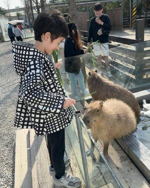 Wen-Sing Huang Instagram - 上週「廢物媽媽育兒農場」 @love_alpaca0316 一日遊。
出門玩當然要打扮一下啦😎今天穿的父子裝，是在路上不會撞衫獨一無二的財財手作服飾，從布料挑選到設計都可以依照個人喜好去訂製，而且面料舒服做工細緻，結合日系風格造型，獨特帥氣，親子裝是他們的暢銷款👍如果想逛逛，可以直接到新竹廢物媽媽育兒農場裡面選購！
採預約制的農場很特別，每個小動物都有他們自己的名字，農場內不會有異味，反而是太陽光線充足動線規劃也很好，能感受得到牠們是有被用心照顧的寵物👍面對人群不會恐懼或有攻擊性，裡面有水豚君、浣熊、梅花鹿、羊駝、小馬等，一大堆可愛的小動物，牠們既溫馴又熱情，不停的吃著我們餵食的牧草和紅蘿蔔，還可以輕輕的撫摸牠們和牠們拍拍照，超級療癒～
但是小星看到什麼都說想要養！真是嚇死我了🤣🤣🤣
和小動物們玩了一圈後再到市集逛逛，除了有販售服飾外，還有精美紀念品、玩偶、餅乾等，我們買了一盒很好吃的甜餅乾，回家的路上邊吃邊回味🥰
晚上小星秒睡，臉上仍掛著笑容☺️廢媽媽農場很適合全家大小來玩，小孩可以放電、媽媽可以逛服飾拍美照、還可以近距離觀察可愛動物，真是好所在啊👍
農場資訊👇
廢物媽媽育兒農場
☎：0988-911-572
⏰ : 週一~週日 9:00~16:00
🏠：新竹市香山區海埔路518巷75弄85之1號
注意這裡是網路預約制
要來前要先預約喔！

#黃文星 #huangwenhsing #廢物媽媽育兒農場 #新竹景點 #財財的手作基地 #育兒景點