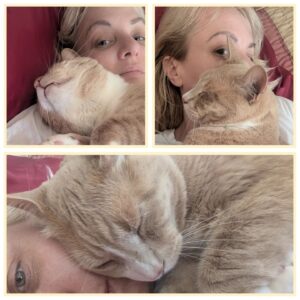 Wendi McLendon-Covey Instagram - I can't come to the phone right now..... Butters is too comfy.