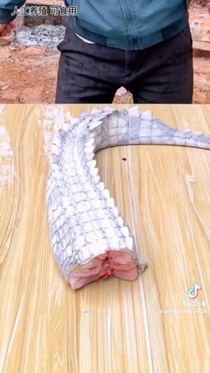 Wesley Kams Instagram - Du croco 😭 tag des gens qui pourraient en manger en vrai ça a l’air bon mdr #reels #reelsinstagram #reelsvideo #humour #drole