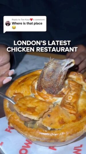 Wesley Kams Instagram - Faut assumer maintenant 😂 tag quelqu’un qui peut assumer ça moi je tag @mauvemood et @jeffrecordz 😂 #reels #reelsinstagram #reelsvideo #humour #poulet #chicken #fowl