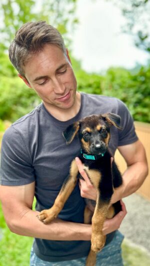Whit Johnson Instagram - Foster pup #22!  Meet “Pudding”. This little sweetie is from Texas.  An English shepherd mix.  Loves cuddles, toys, people, and dogs.  She will absolutely melt your heart ❤️! And she’s ready to be adopted! As always our dog, Copper, is the best big foster brother. For info go to @snarr_northeast_rescue #rescuedogsofinstagram #fosterdog
