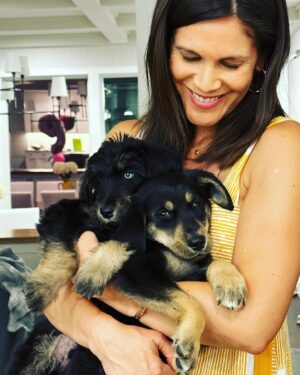 Whit Johnson Instagram - New set of foster puppies 🐶!! I think these guys will be adopted in record time. #rescuedogsofinstagram #adoptdontshop @snarr_northeast_rescue 

*UPDATE: Both puppies adopted together!