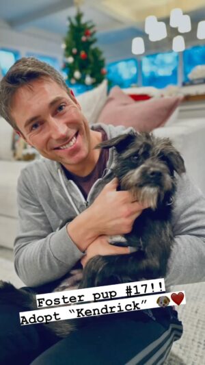 Whit Johnson Instagram - FOSTER PUP number 17!! Kendrick is a hilarious 6 month old schnauzer mix.  This guy has a ton of personality, kid friendly, dog friendly, crate trained, sleeps through the night, and appears to be potty trained!! Can’t wait to help Kendrick find his forever home!  Contact @snarr_northeast_rescue if interested in adoption. #rescuedog