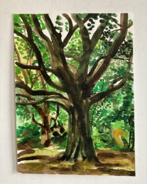 Wilfrid Wood Instagram - I think trees are a kind of antidote to all the things you don’t like in life