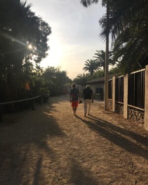Will Peltz Instagram - 