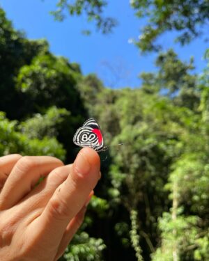 Willian Mello Instagram - Hoje decidi entrar em contato com a natureza, me conectar com sua grandeza e força. Pedi a ela desculpas por tanto desrespeito e falta de consciência de nós humanos. Se cada um fizesse sua parte, os efeitos negativos e estrondosos que estão acontecendo, talvez pudessem ser evitados. Orei por todos que estão em estado de emergência no Rio Grande do Sul, pedindo a Deus que dê força e alivio. Oremos por eles! 🙏🏼💚