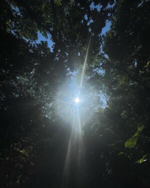 Willian Mello Instagram - Hoje decidi entrar em contato com a natureza, me conectar com sua grandeza e força. Pedi a ela desculpas por tanto desrespeito e falta de consciência de nós humanos. Se cada um fizesse sua parte, os efeitos negativos e estrondosos que estão acontecendo, talvez pudessem ser evitados. Orei por todos que estão em estado de emergência no Rio Grande do Sul, pedindo a Deus que dê força e alivio. Oremos por eles! 🙏🏼💚