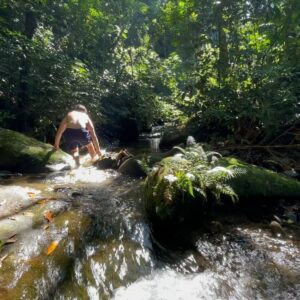 Willian Mello Instagram - Hoje decidi entrar em contato com a natureza, me conectar com sua grandeza e força. Pedi a ela desculpas por tanto desrespeito e falta de consciência de nós humanos. Se cada um fizesse sua parte, os efeitos negativos e estrondosos que estão acontecendo, talvez pudessem ser evitados. Orei por todos que estão em estado de emergência no Rio Grande do Sul, pedindo a Deus que dê força e alivio. Oremos por eles! 🙏🏼💚