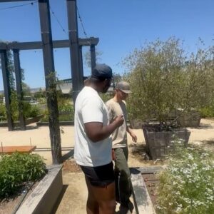 Winston Duke Instagram - Had a great introduction to the Napa wine region and let me tell you, I will be back often! The entire experience was magical; from the drive to Napa from SFO airport to the almost foreign feeling you get from the whole landscape of Napa Valley... you are immediately transported to a foreign hillside landscape. The crown jewel of the entire experience has to be @stanlyranchauberge... from the outdoor showers where you could soak up the sun, to their farm-to-table experience with every meal... I had a one-of-a-kind experience that I won’t soon forget. While you are there, make sure you take the McLaren out for a spin... you can thank me later!