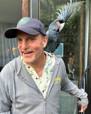 Woody Harrelson Instagram - George and I will see y’all mañana! 4-9pm with the farmers at the Woods and hanging at Holy Water!