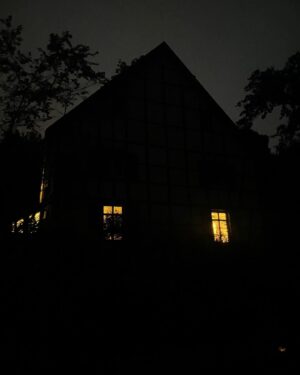 Wotan Wilke Möhring Instagram - Good nite. #home #dog #quiet #place #night #peace #rest