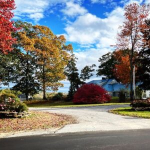 Xander Berkeley Instagram - The shock of autumn on any given afternoon , as the light breaks through an otherwise gloomy day… still hits me hard (even being back east for  five full falls now:)
