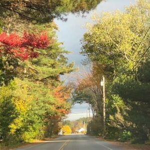 Xander Berkeley Instagram - The shock of autumn on any given afternoon , as the light breaks through an otherwise gloomy day… still hits me hard (even being back east for  five full falls now:)