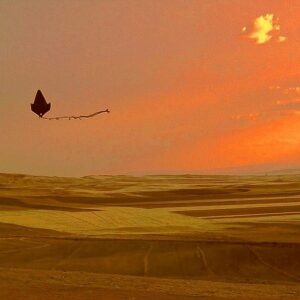 Yetkin Dikinciler Instagram - Dünyanın bütün sabahları...!
#sunrise