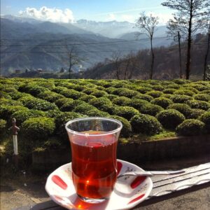 Yetkin Dikinciler Instagram - Rize çayı! #teagarden