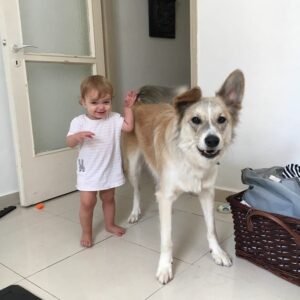 Yon Tumarkin Instagram - I thank my parents every day for raising me around dogs and pets in general. Now my brother and his wife are granting the same gift to Danielle. The result? A wise, loving and caring one year old. Do the same wonderful thing for your kids and nieces - adopt a pet! 🐶🐱 אני מודה להורים שלי בכל יום על שגידלו אותי בסביבת כלבים וחיות בכלל. עכשיו אח שלי ואישתו מעניקים את אותה המתנה לדניאל. התוצאה? ילדה בת שנה חכמה, אוהבת ודואגת. תעשו גם אתם את אותו דבר מדהים עבור הילדים והאחיינים שלכם - תאמצו! 🐱🐶