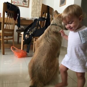 Yon Tumarkin Instagram - I thank my parents every day for raising me around dogs and pets in general. Now my brother and his wife are granting the same gift to Danielle. The result? A wise, loving and caring one year old. Do the same wonderful thing for your kids and nieces - adopt a pet! 🐶🐱 אני מודה להורים שלי בכל יום על שגידלו אותי בסביבת כלבים וחיות בכלל. עכשיו אח שלי ואישתו מעניקים את אותה המתנה לדניאל. התוצאה? ילדה בת שנה חכמה, אוהבת ודואגת. תעשו גם אתם את אותו דבר מדהים עבור הילדים והאחיינים שלכם - תאמצו! 🐱🐶