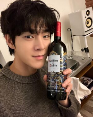 Yoo Jung-hoo Instagram - 디아블로 청룡에디션과 함께 새해복 많이 받으세요!! 🍷🤗
.
#디아블로와인 #디아블로청룡