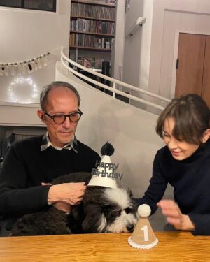 Yukihiro Takahashi Instagram - 初めてイチゴケーキを食べました！　　
12月3日は僕の1歳のお誕生日
皆んながなぜかヨシヨシしてくれた！
ありがとう🐶by Pascal
#pascal 
#birthdaycake 
#cake 
#ありがとう 
#しあわせ #1さいのおたんじょうび