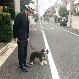 Yukihiro Takahashi Instagram - 同居での散歩？今日1度アップしたphotoが、全部消えました。だからもう1度です。止まれはキッチリ止まります。本当に止まると動かなかったみたい。。