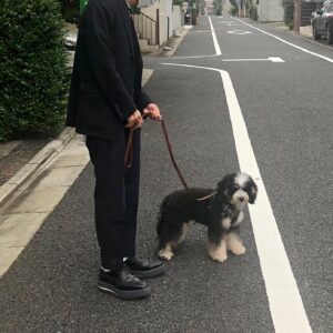 Yukihiro Takahashi Instagram - 同居での散歩？今日1度アップしたphotoが、全部消えました。だからもう1度です。止まれはキッチリ止まります。本当に止まると動かなかったみたい。。