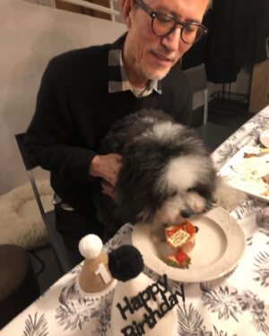 Yukihiro Takahashi Instagram - 初めてイチゴケーキを食べました！　　
12月3日は僕の1歳のお誕生日
皆んながなぜかヨシヨシしてくれた！
ありがとう🐶by Pascal
#pascal 
#birthdaycake 
#cake 
#ありがとう 
#しあわせ #1さいのおたんじょうび