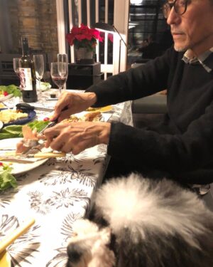 Yukihiro Takahashi Instagram - 初めてイチゴケーキを食べました！　　
12月3日は僕の1歳のお誕生日
皆んながなぜかヨシヨシしてくれた！
ありがとう🐶by Pascal
#pascal 
#birthdaycake 
#cake 
#ありがとう 
#しあわせ #1さいのおたんじょうび