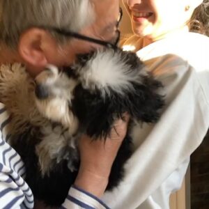 Yukihiro Takahashi Instagram - 福しま家が、皆さんで来てくれて、短い間だったけれど．賑やかで楽しかった。
そして、美味しかった😆　　さらに皆さん万全の体制で来てくれたので安心して、、、
パスキャルはいつもより沢山遊んでもらって、もう大満足。そして自分より早く歩く(走る？)．人とのお散歩も、初めて。
#family 
#pascal