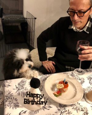 Yukihiro Takahashi Instagram - 初めてイチゴケーキを食べました！　　
12月3日は僕の1歳のお誕生日
皆んながなぜかヨシヨシしてくれた！
ありがとう🐶by Pascal
#pascal 
#birthdaycake 
#cake 
#ありがとう 
#しあわせ #1さいのおたんじょうび
