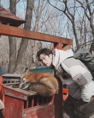 Zack Fanchiang Instagram - -
🦊狐狸村
才知道原來狐狸是夜行性動物
想說怎麼都在睡覺💤☺️
-
銀山溫泉♨️
感受一下神隱少女的氛圍👻
可惜了沒有雪🥲也別有一番風味
@palladium_tw