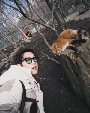 Zack Fanchiang Instagram - -
🦊狐狸村
才知道原來狐狸是夜行性動物
想說怎麼都在睡覺💤☺️
-
銀山溫泉♨️
感受一下神隱少女的氛圍👻
可惜了沒有雪🥲也別有一番風味
@palladium_tw