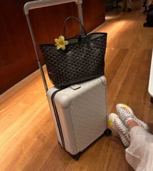 Zahraa Sami Instagram - Zozo kaçtı ✈️🐥..

وين مدينة أحلامكم ويا منو حابين تروحون الها؟