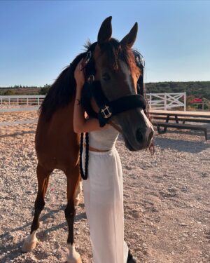 Zeina Makki Instagram - The kind of love i can’t explain. 💘🐎